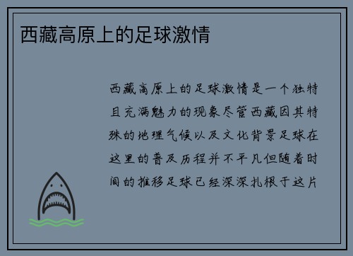 西藏高原上的足球激情
