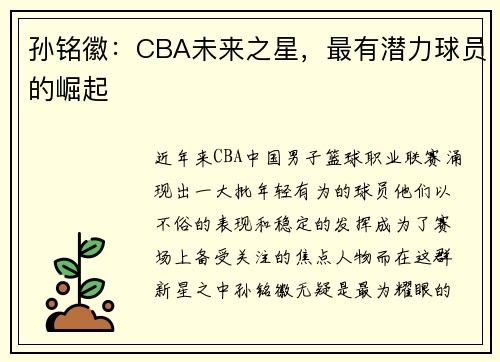孙铭徽：CBA未来之星，最有潜力球员的崛起