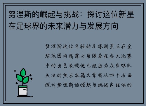 努涅斯的崛起与挑战：探讨这位新星在足球界的未来潜力与发展方向