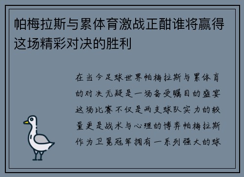 帕梅拉斯与累体育激战正酣谁将赢得这场精彩对决的胜利