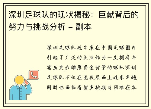 深圳足球队的现状揭秘：巨献背后的努力与挑战分析 - 副本